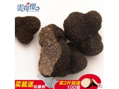 新鲜黑松露 干片 速冻常年提供
