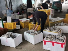 江永县退役军人彭文林捐赠一千多公斤新鲜食用菌助力武汉疫情防控 ()