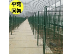 香菇出菇架香菇出菇架子
