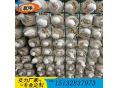 猴头菇出菇网格 平菇出菇房网架 香菇钢管层架 金针菇养殖架