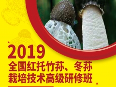 “2019全国红托竹荪、冬荪栽培技术高级研修班” 通知