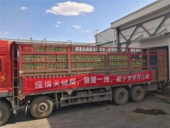 威宁雪榕13吨食用菌驰援广东 ()