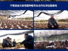 超1.78万人次，3400条留言！2020第五届全国羊肚菌大会圆满结束 ()