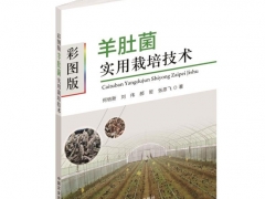 2020第五届全国羊肚菌大会免费获赠《彩图版羊肚菌实用栽培技术》名单 ()