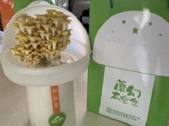 居家防疫不外出 自种蘑菇添乐趣 ()