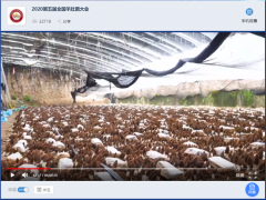 宁晋县金元食用菌种植专业合作社带领2020第五届全国羊肚菌大会代表远程参观羊肚菌基地 ()