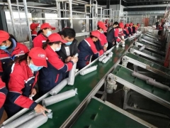 贵州水城县启动3000人食用菌产业技能提升培训计划 ()