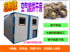云南野生菌烘干设备 茶树菇烘干机 电加热热风循环烘箱