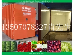 果蔬真空预冷机