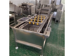 定制蔬菜清洗流水线 芹菜高压喷淋清洗机 叶菜气泡清洗机省水