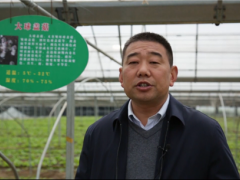 聚焦热点  弘亚·2020第二届中国大球盖菇产业发展大会圆满结束 ()