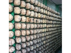 食用菌网架网格a海南食用菌网架网格a食用菌网架网格生产厂家