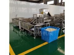 蔬菜全自动清洗生产线 香椿高压气泡清洗机 茄子喷淋清洗机