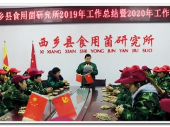 2019春森菌业年产菌种超过300万袋（瓶），扩建近40亩，经营再创历史新高 ()