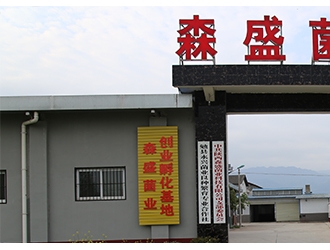 陕西森盛菌业有限公司倾情赞助2020中国天麻产业网络大会 ()