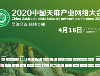 论剑天麻产业发展 剖析“两菌”技术趋势——2020中国天麻产业网络大会圆满召开 ()