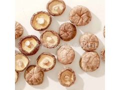 干香菇 河南昌盛干香菇批发价格厂家直销
