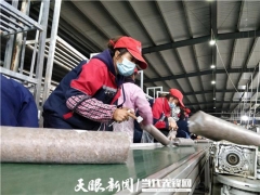 水城：一座菌种场与亿元级的食用菌产业 ()