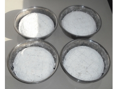 供应新型食品-裂褶菌菌糕