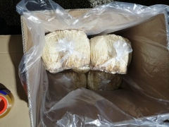 黄金针菇（40斤箱装）