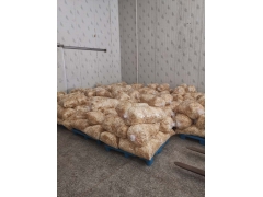 黄金针菇（80斤装）