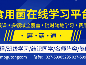 蘑菇通：搭建线上学习平台 提升食用菌专业技能 ()