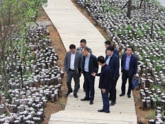 贵州省农业农村厅赴剑河县指导食用菌产业发展和高标准农田建设工作 ()