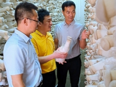 福建省“食用菌脆片加工示范基地”落户漳州 ()