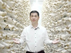 县委书记路斌为道真食用菌代言！ ()