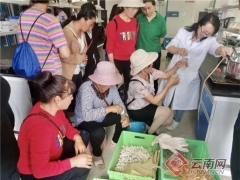 引导农民种植食用菌“发家致富”昆明五华区这样操作 ()