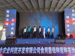 贵州织金：产学研一体化食用菌基地助推“黔菌出山” ()