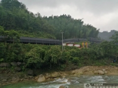 这个村靠木耳香菇撑出贫困村民致富路 ()