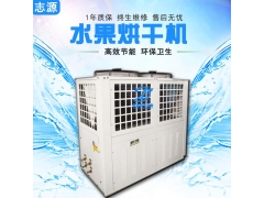 厂家直销热泵水果烘干机全程高能脱水烘干箱