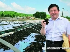 李玉院士：我怀揣着一个食用菌产业强国的梦想 ()
