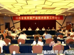 木耳香菇等特色食用菌产业咋发展？陕西在柞水定下了这些新举措 ()