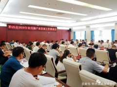 黔西县2020年食用菌产业发展工作推进会召开 ()