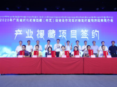 广东科技援藏育优质“藏雪芝”，助力藏灵芝产业蓬勃发展 ()