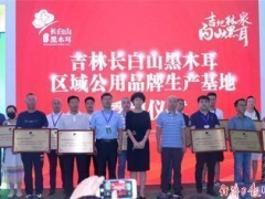 “吉林长白山黑木耳”区域公用品牌唱响农博会 ()