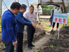哈尔滨市科协调研秸秆种植精品食用菌项目 ()