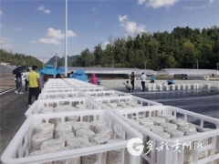 梵天菌业的小目标：制定贵州省黑木耳种植标准 ()