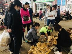 吃菌要抓紧，快落潮啦！昆明野生菌价格上涨 鸡枞干巴菌最多 ()