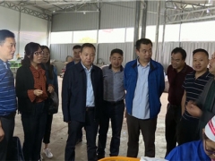 中国农科院食用菌专家团队前往略阳县调研指导食用菌产业发展 ()