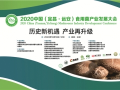2020中国（宜昌·远安）食用菌产业发展大会购销对接活动通知 ()