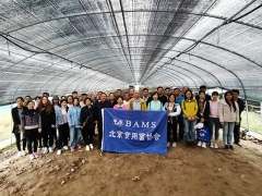 北京食用菌协会在河北组织召开食用菌现场观摩会 ()