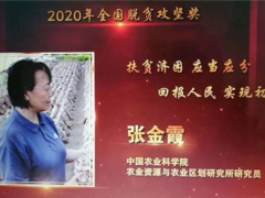 点赞！张金霞、常明昌、侯桂森荣获2020年全国脱贫攻坚奖 ()