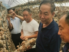 侯桂森：把食用菌带进贫困县的“乡土教授” ()