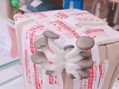 宜宾一快递站内包裹长出大蘑菇 网友：够炒一盘了 ()
