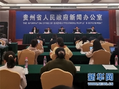 新华网：2020中国·贵州食用菌产业发展大会将于11月7日开幕 ()