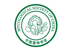 2020年中国菌物学发展论坛暨学会理事会编委会扩大会议通知（第一轮） ()