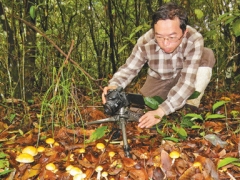 《人民日报》点赞这位“蘑菇先生”——中科院昆明植物所研究员杨祝良 ()